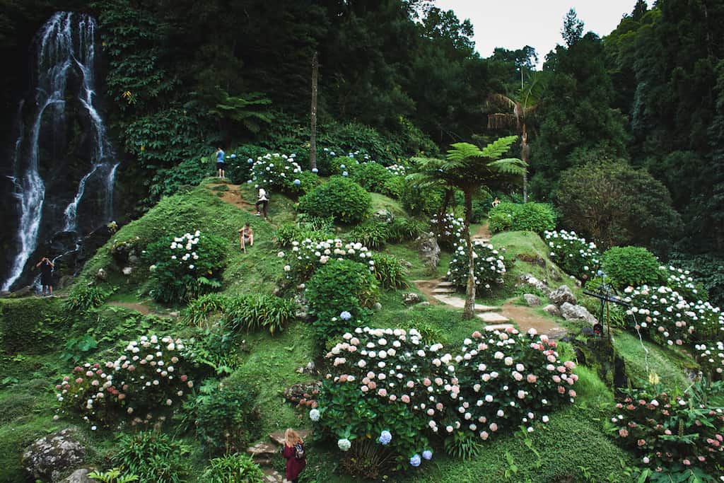 A small walking path leading up a lush, green garden with pink and white flowers.